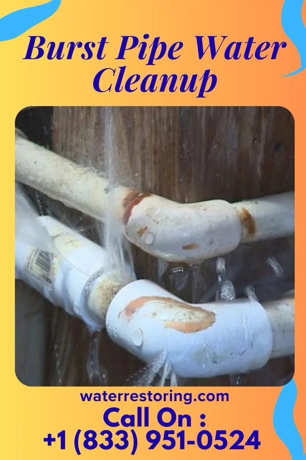 Burst Pipe Water Cleanup in Chalfont, PA