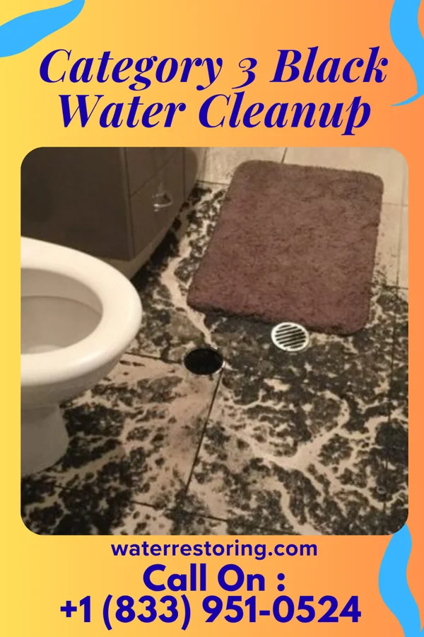 Category 3 Black Water Cleanup in Chalfont, PA
