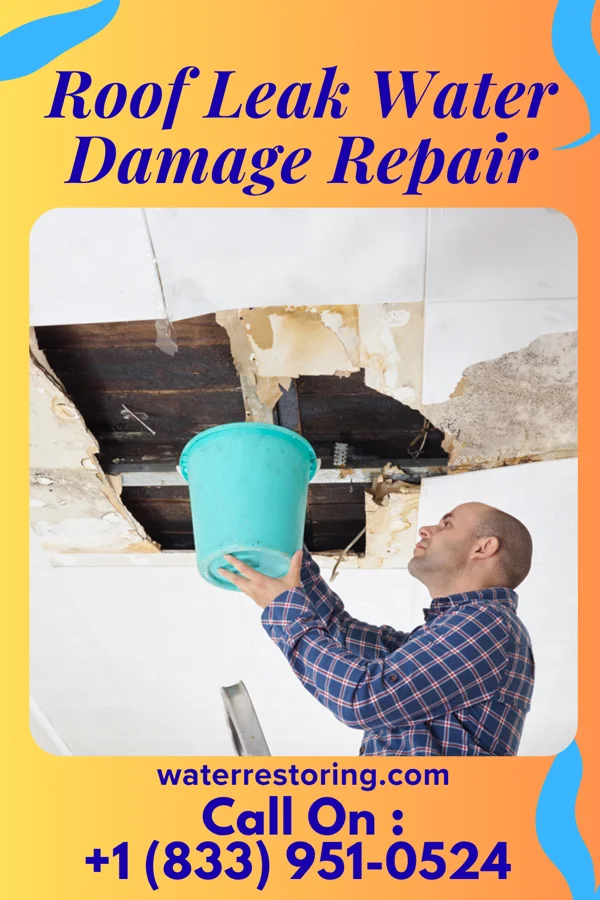 Roof Leak Water Damage Repair in Chalfont, PA