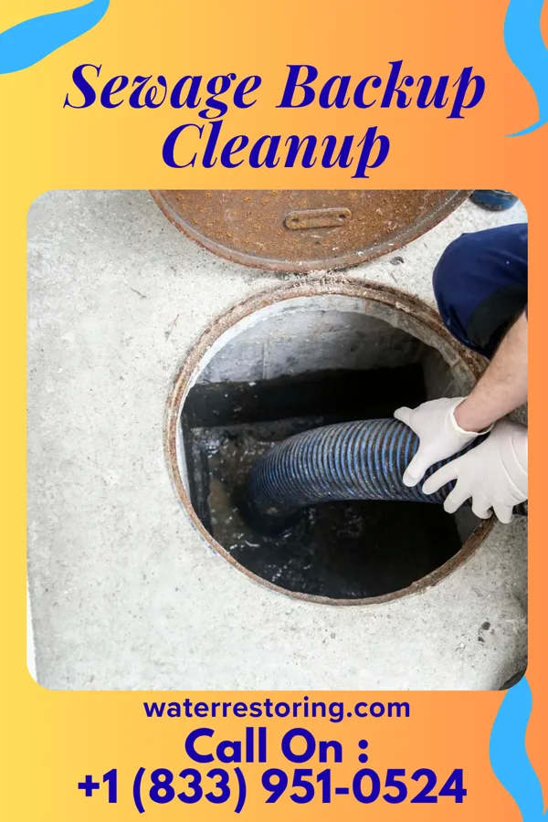 Sewage Backup Cleanup in Chalfont, PA