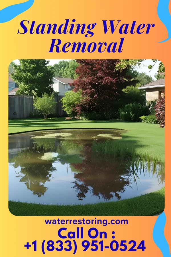 Standing Water Removal in Chalfont, PA